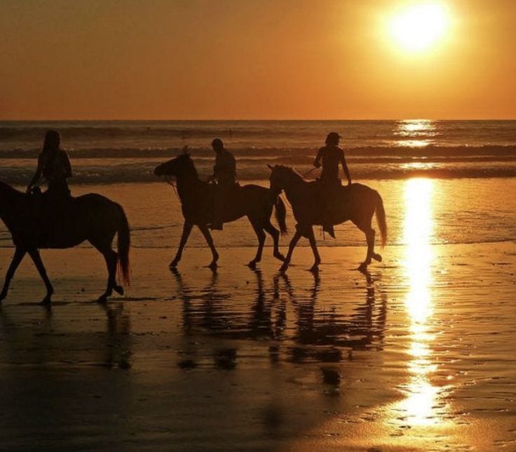 Horse Riding Essaouira
